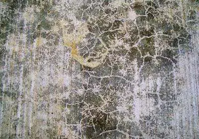 concrete-laitance